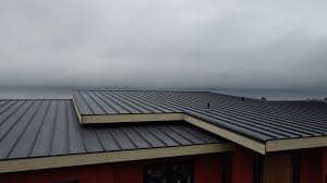 Best Metal Roofing Installation  in Diamond Ridge, AK